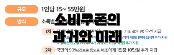 소비쿠폰의 과거와 미래