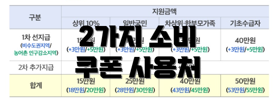 2가지 소비 쿠폰 사용처