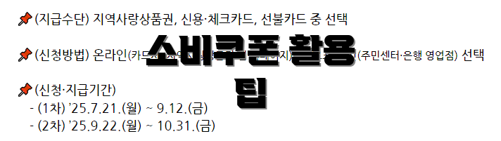 소비쿠폰 활용 팁