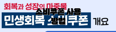 소비쿠폰 사용 방법