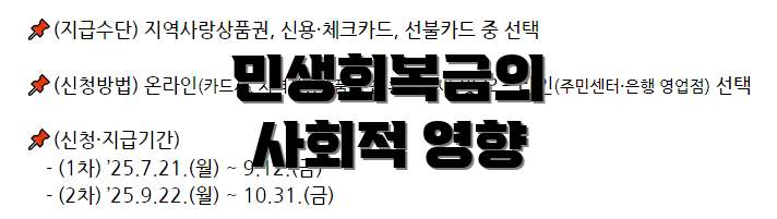 민생회복금의 사회적 영향