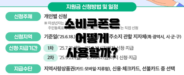 소비쿠폰은 어떻게 사용할까?