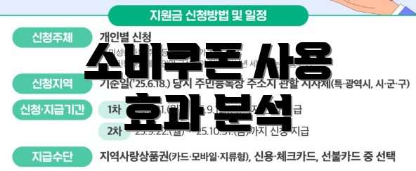 소비쿠폰 사용 효과 분석