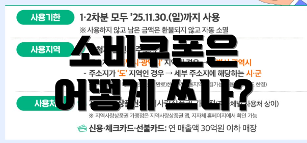 소비쿠폰은 어떻게 쓰나?
