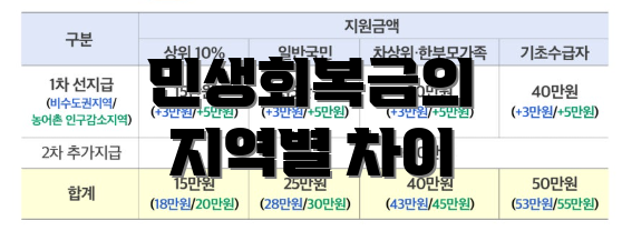 민생회복금의 지역별 차이