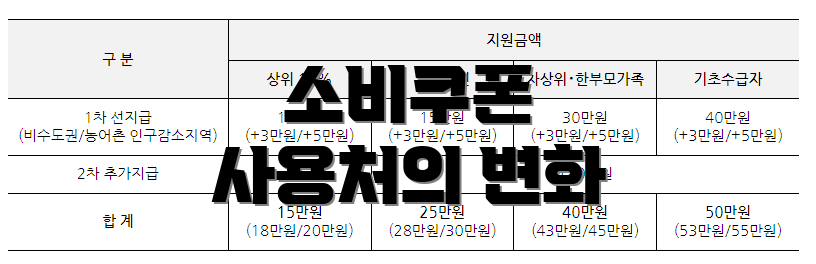 소비쿠폰 사용처의 변화