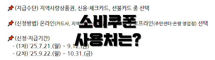 소비쿠폰 사용처는?