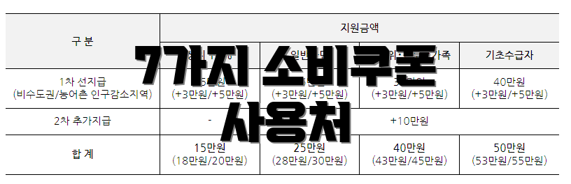 7가지 소비쿠폰 사용처