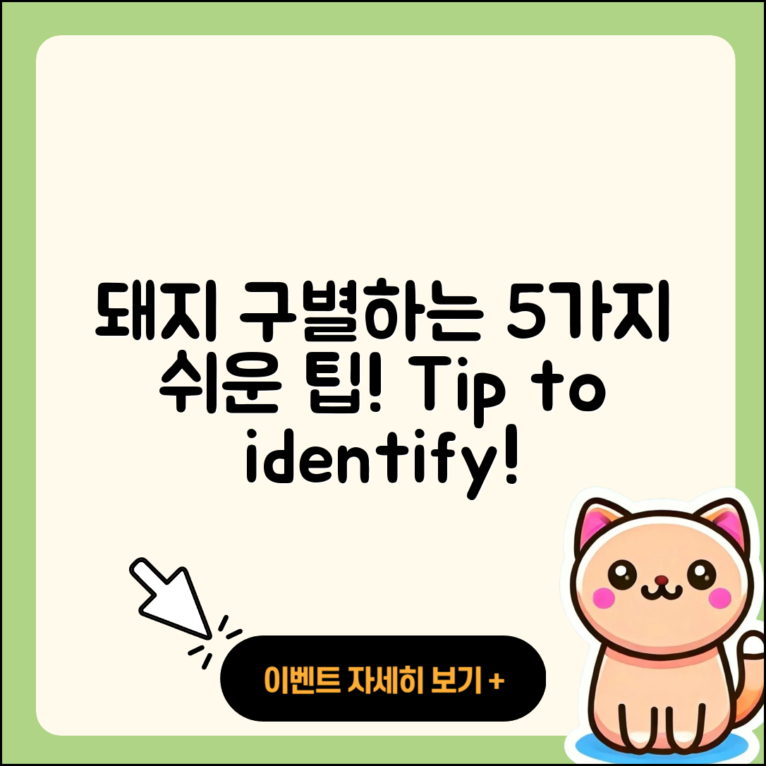 되지 돼지 구분하는 5가지 쉬운 팁